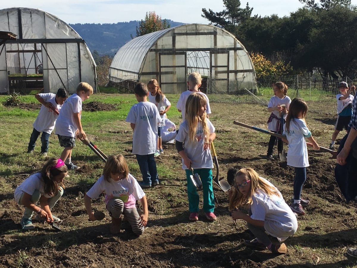 2018 Annual Campaign – Farm Discovery