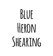 Written in dark black capital letters reads, "Blue Heron Shearing" in front of a solid white background