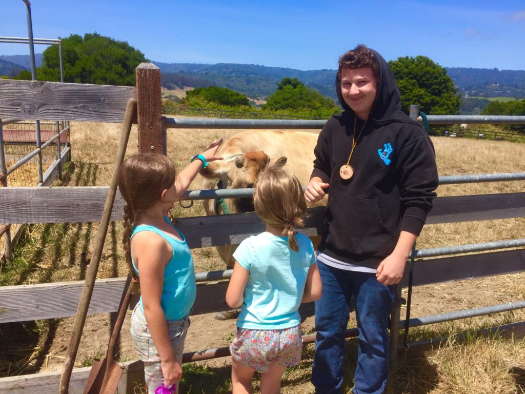 Young Leaders – Farm Discovery