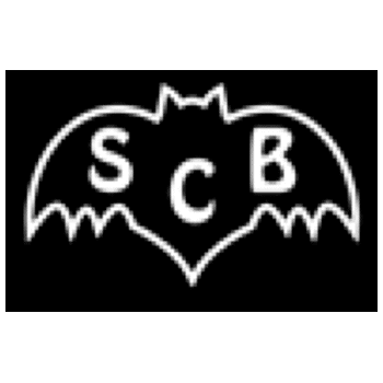 Santa Cruz Bats Logo