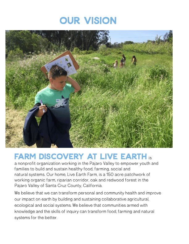 FD Annual Report 2