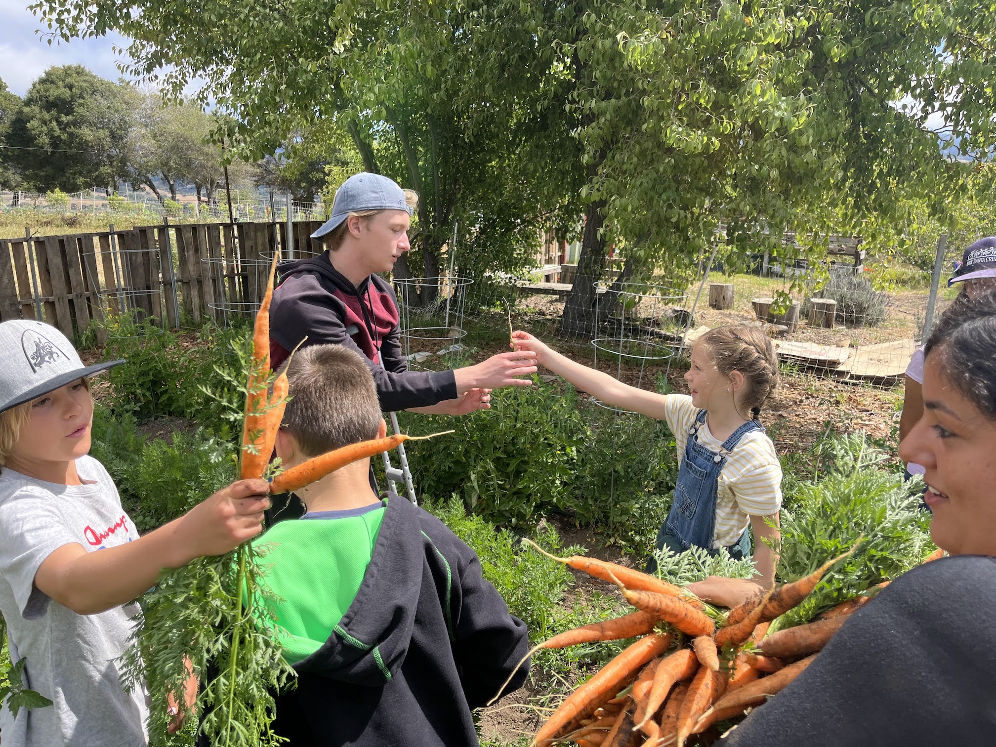 LIT and Campers harvesting carrots