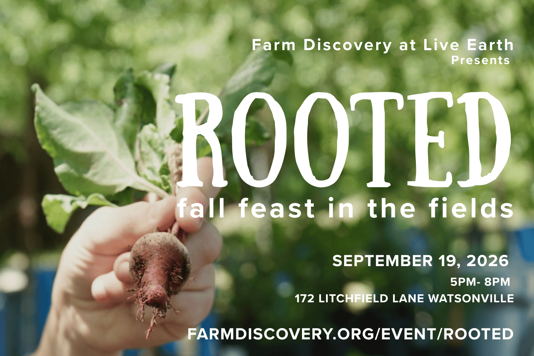 rooted invite