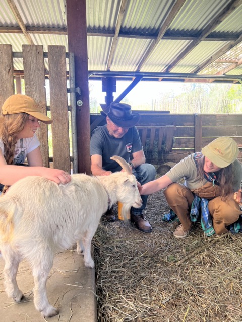 goat with pets
